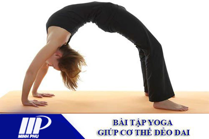 yoga giúp cơ thể dẻo dai