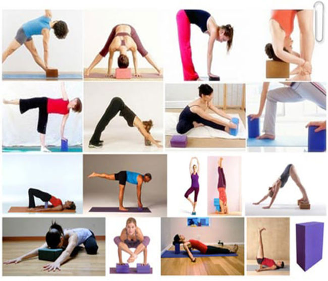 Gối tập yoga – Gạch yoga
